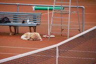 p1030633.jpg