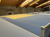 halle-1.jpg